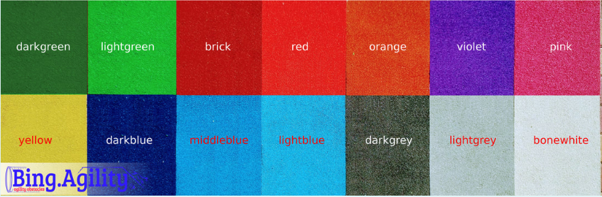 Bing.Agility Standard Dog Walk