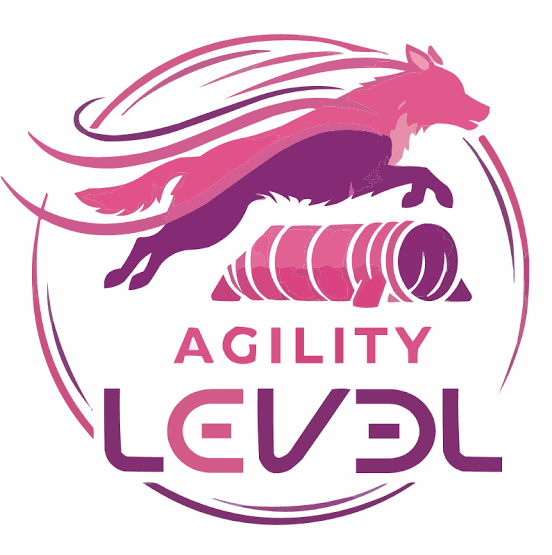 Agility Level