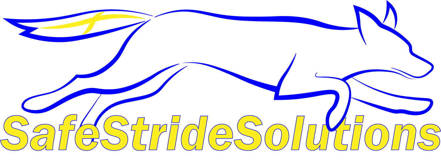 Safe Stride Solutions