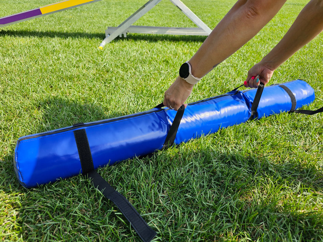 Bing. Agility Sandbag for Seasaw