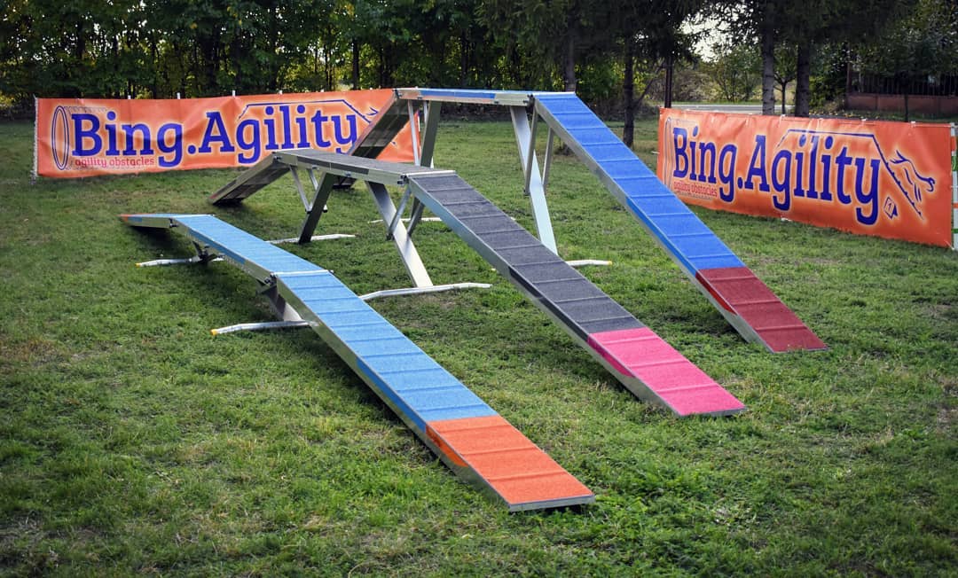 Bing.Agility Standard Dog Walk