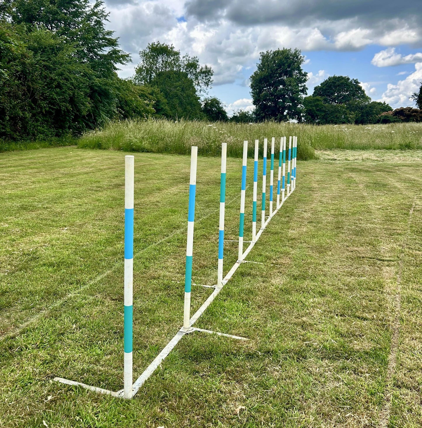 Bing.Agility Training Weave Poles