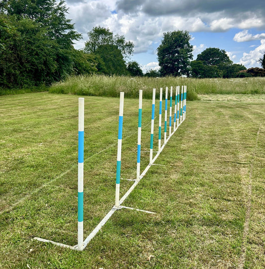 Bing.Agility Training Weave Poles