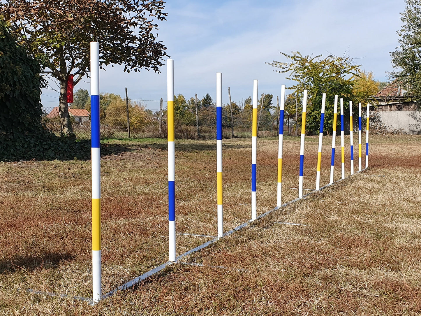 Bing.Agility Training Weave Poles