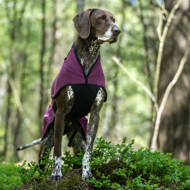 HUNDLANDS FLEECE JACKET SPORT