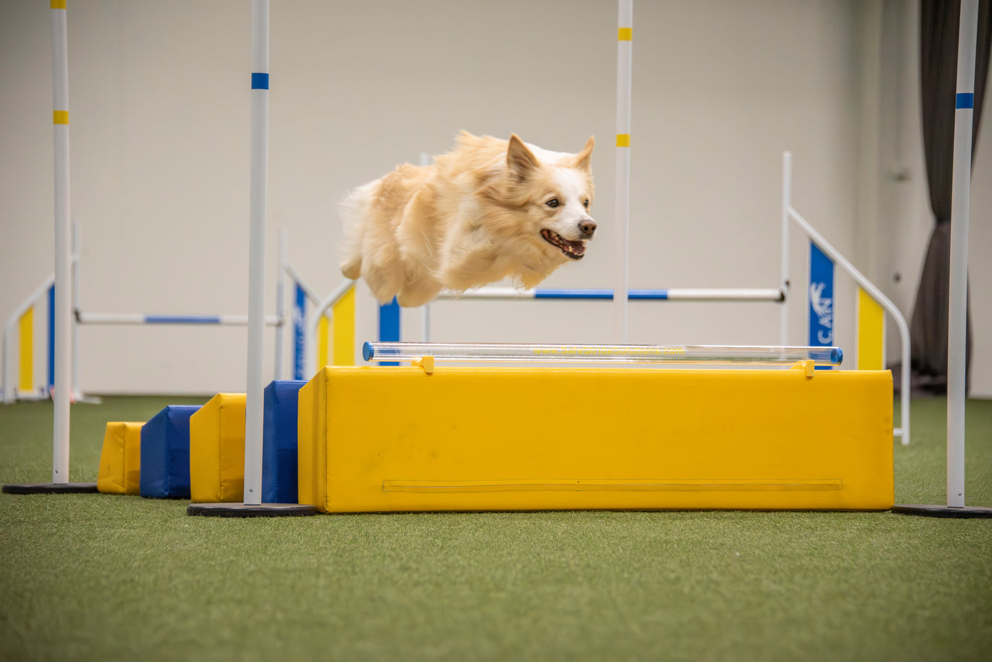 Clear Jump Bar - Long Jump & Wall