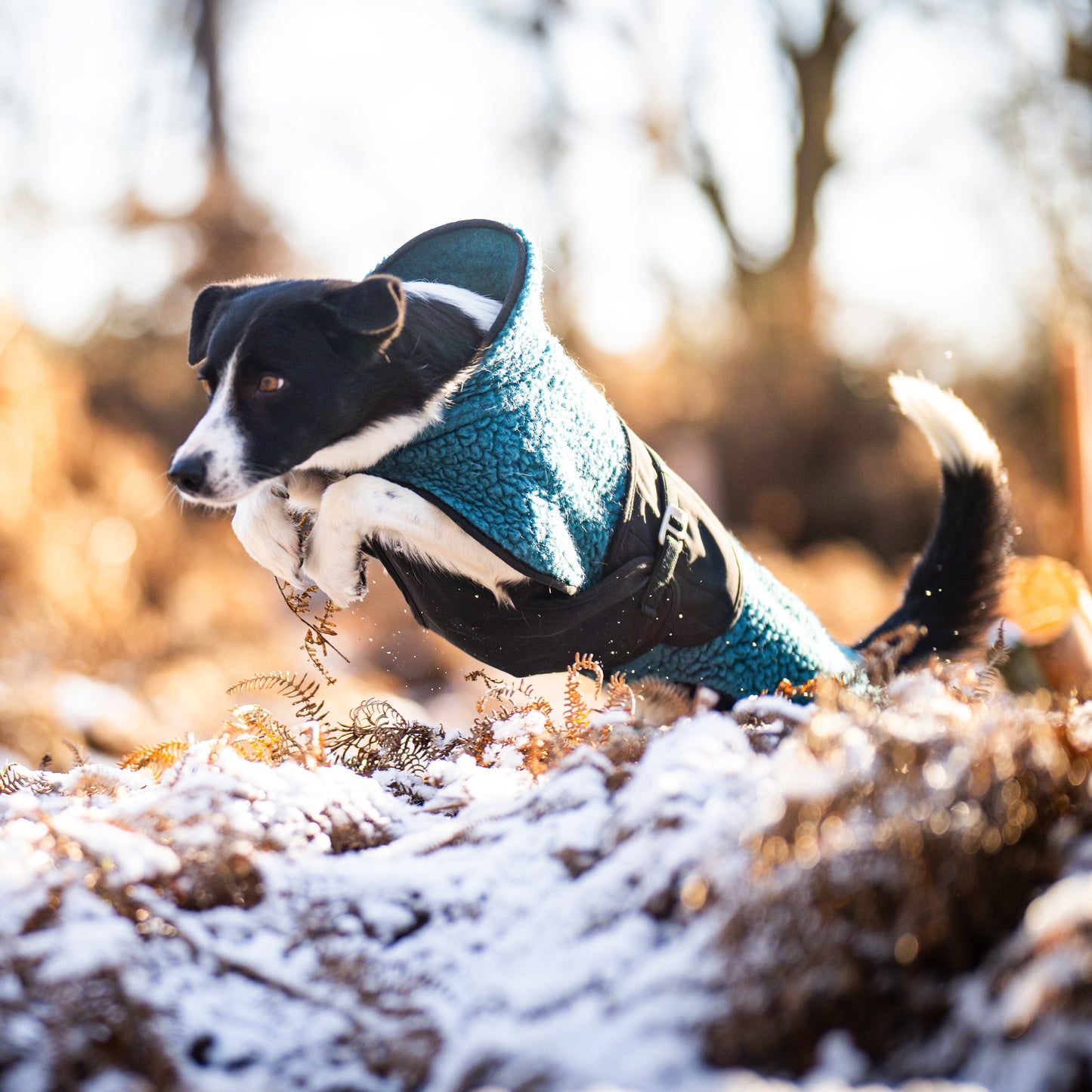 HUNDLANDS WOOL JACKET HYBRIDO