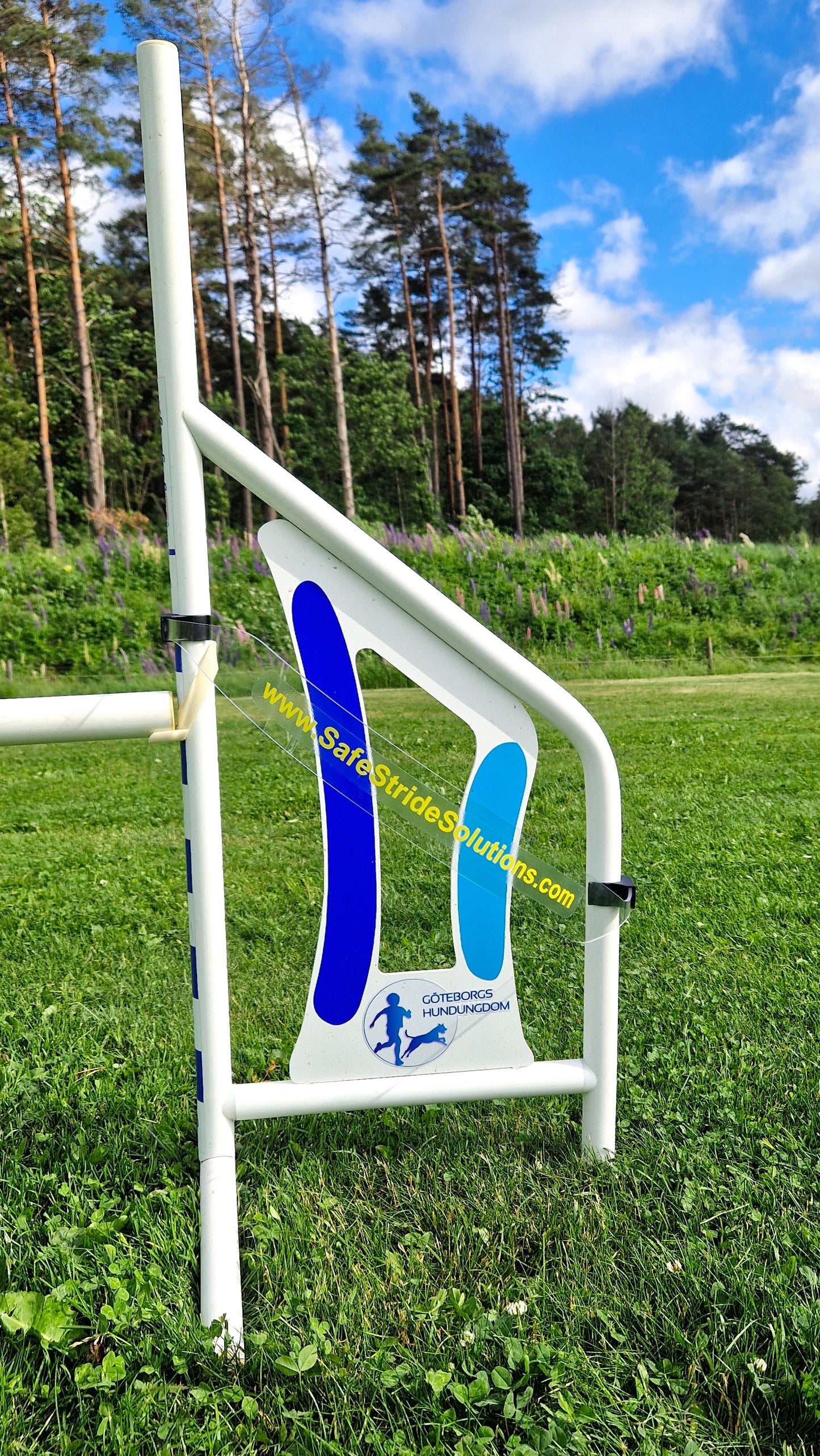 Jumping Guide Set of 2