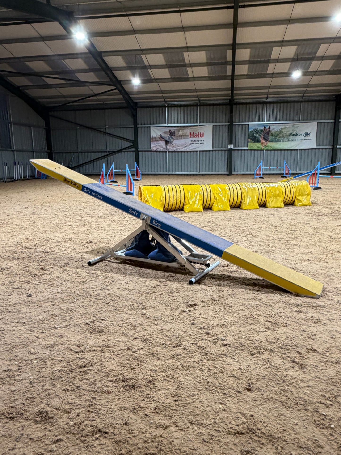 Bing.Agility See-Saw