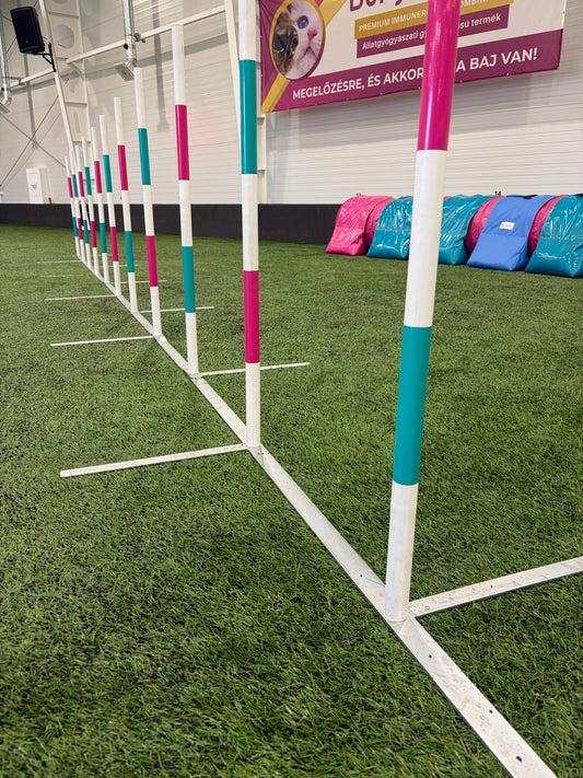 Bing.Agility Competition Weave Poles