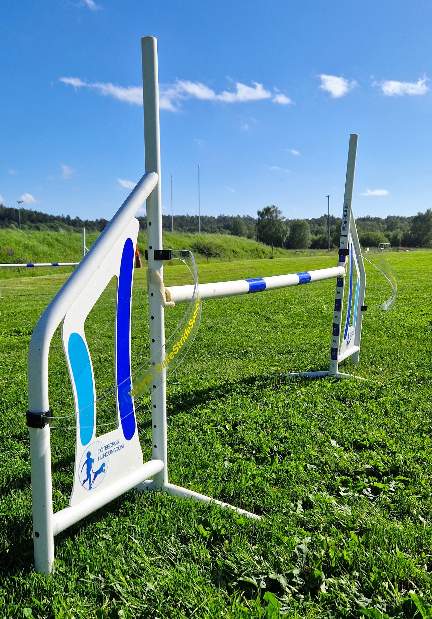 Jumping Guide Set of 2