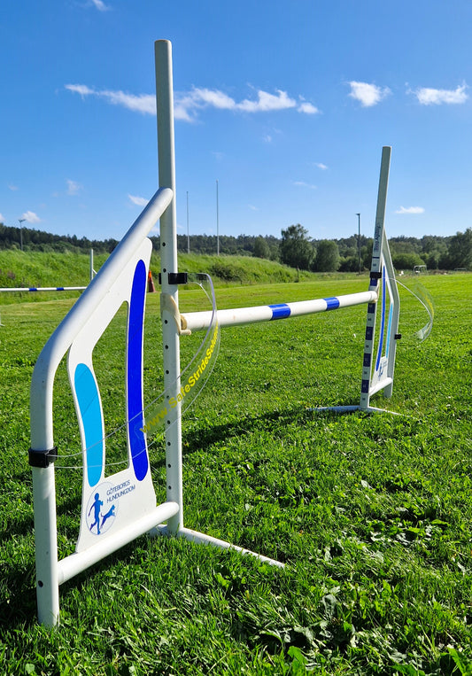 Jumping Guide Set of 2