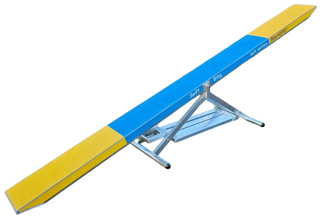 Bing.Agility See-Saw