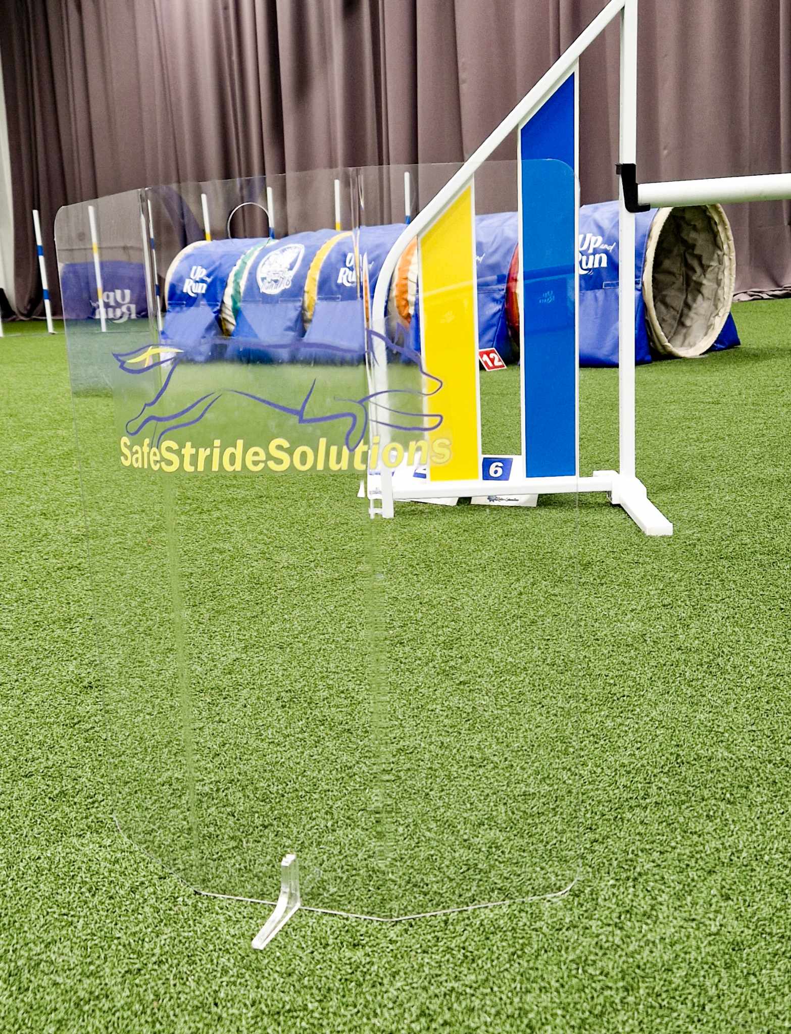 Active Dog Essentials